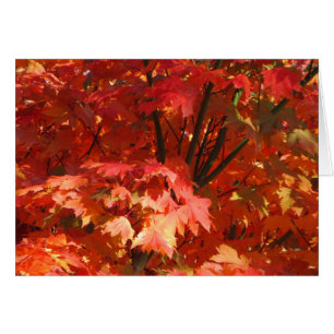 Cartão Outono em Canberra