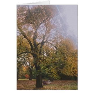 Cartão Outono em Melbourne