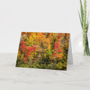 Cartão Outono em Sims Pond North Carolina, Blue Ridge