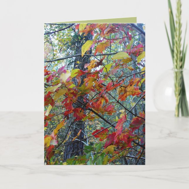 Cartão Outono Incarnate (Frente)