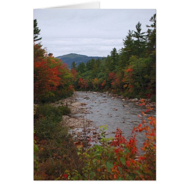 Cartão Outono no rio (Frente)
