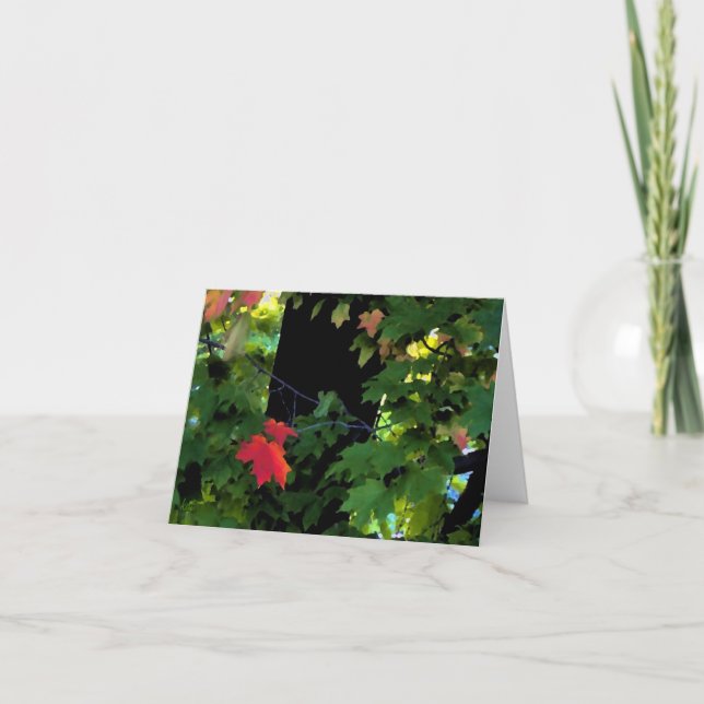 Cartão Outono Notecards de agosto (Frente)