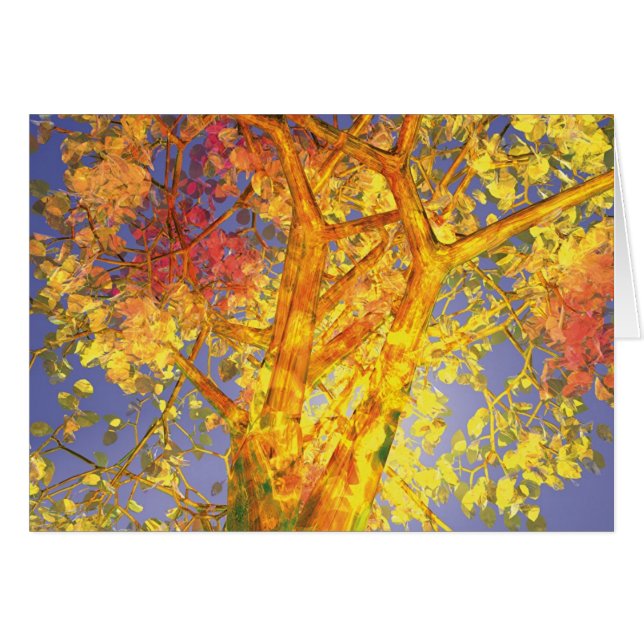 Cartão Outubro (Frente Horizontal)