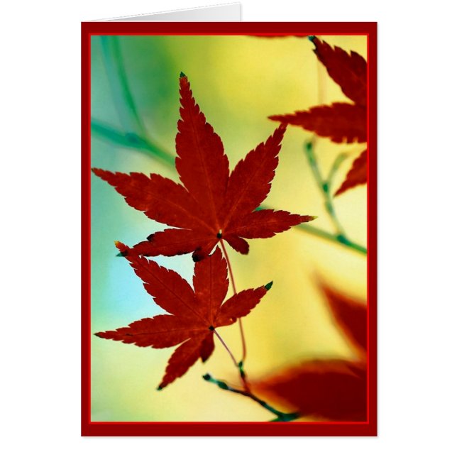 CARTÃO OUTUMN WISHES (Frente)