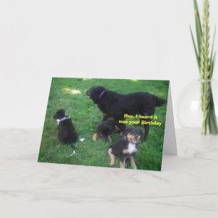 Cartão Ouvi dizer que foi seu aniversário