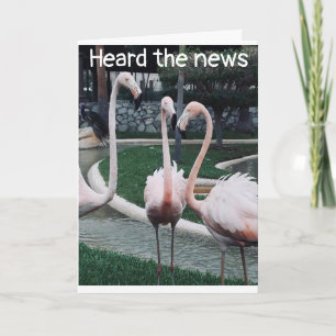 CARTÃO OUVIU FALAR QUE ESTÁ CELEBRANDO O ANIVERSÁRIO "4