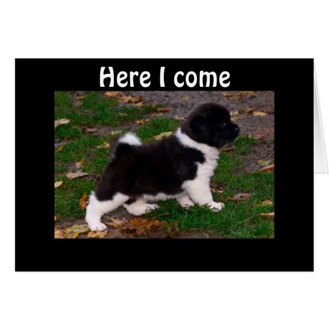 CARTÃO OUVIU QUE VOCÊ TEM UMA PERNA BOO BOO (Frente Horizontal)