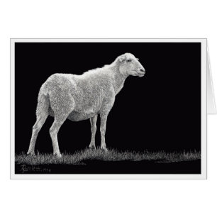 Cartão Ovelha de Tempestade