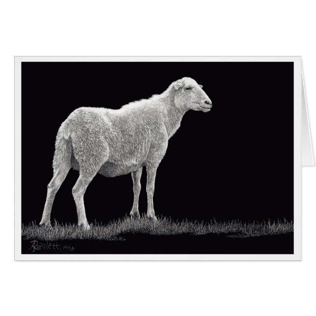 Cartão Ovelha de Tempestade (Frente horizontal)