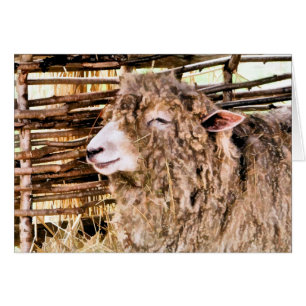 CARTÃO OVINO DE BOVINO