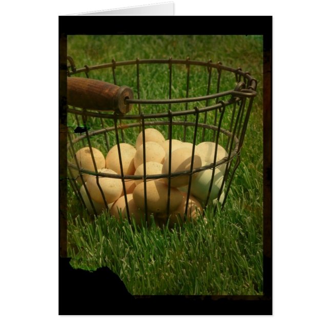 Cartão Ovos (Frente)