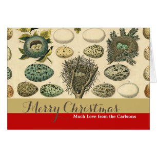 Cartão Ovos De Pintura De Ninho De Aves Vintage