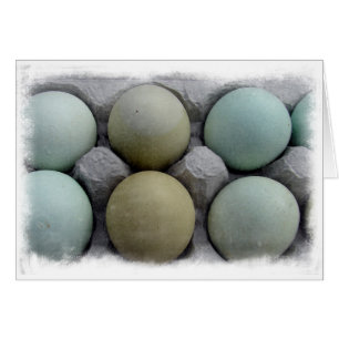 Cartão Ovos Verdes