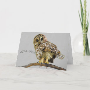 Cartão Owl Knock - Bata em você
