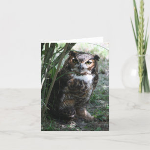 Cartão Owl Notecard