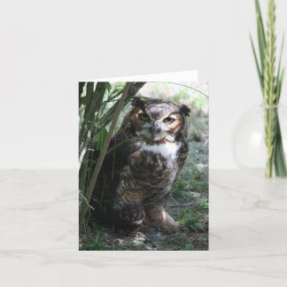 Cartão Owl Notecard