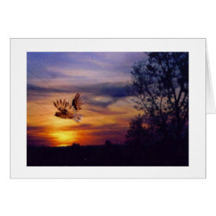 Cartão Owl Sunset Photo