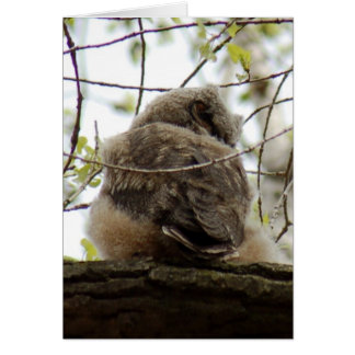 Cartão Owlette excelente Horned