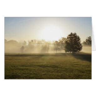 Cartão Ozarks Morning Fog