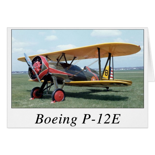 CARTÃO P12E (Frente Horizontal)