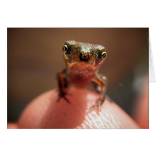 Cartão Pá-Bebê/Tadpole