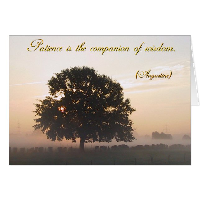 Cartão Paciência é o companheiro da sabedoria (Frente Horizontal)