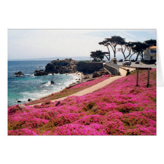 Cartão Pacific Grove-Monterey Calif