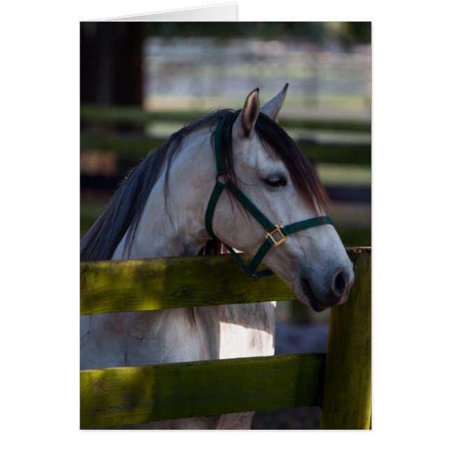 Cartão Pacífico (Frente)