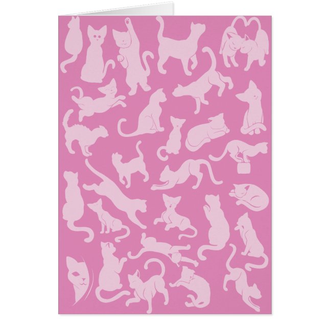 Cartão Padrão de Gato Rosa (Frente)