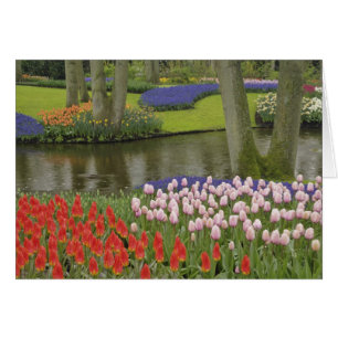 Cartão Padrão de tulipas e flores de jacinto de uva,