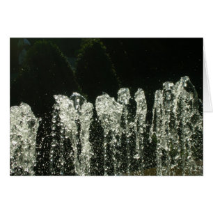 Cartão Padrões da Natureza