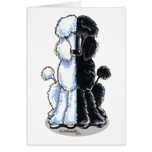 Cartão Padrões duplos