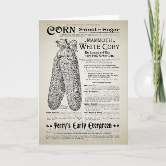 Cartão Página Catálogo de Jardinagem de Vintage