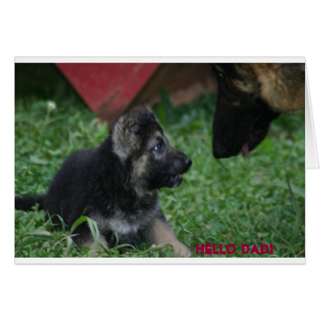 Cartão Pai Hi (Frente Horizontal)