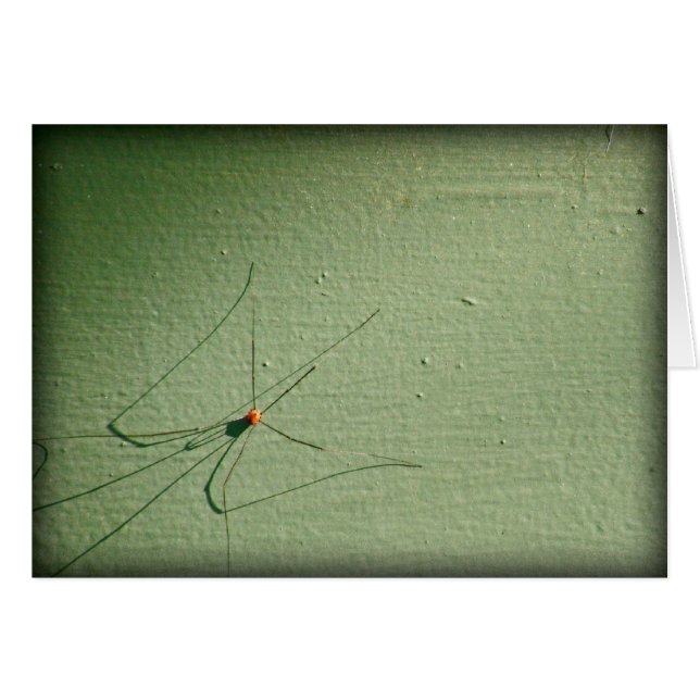 Cartão Pai Pernas Longas (Frente horizontal)