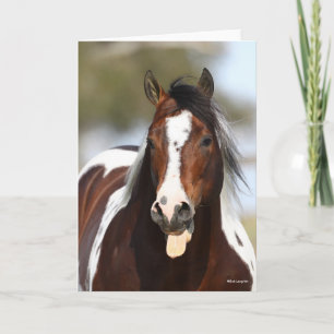 Cartão Paint Stallion com Tongue Out Headshot
