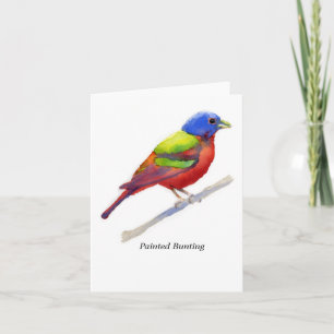Cartão Painted Bunting
