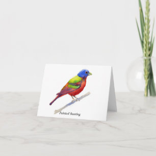 Cartão Painted Bunting