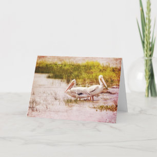 Cartão Painted Pelicans Scripture Card Romans 15:2