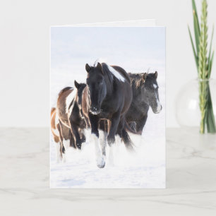 Cartão "Painted Snow Day II" - Wild Horse Greeting Card