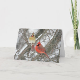 Cartão Pair Of Northern Cardinals