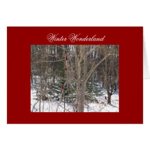 Cartão País das maravilhas do inverno