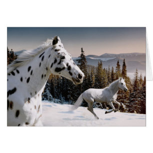 Cartão País das maravilhas do inverno