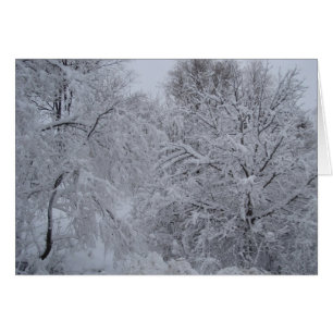 Cartão País das maravilhas do inverno