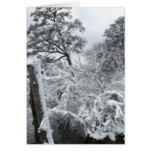 Cartão País das maravilhas II do inverno