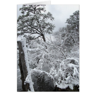 Cartão País das maravilhas II do inverno