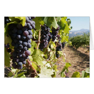 Cartão País Vinho da Califórnia