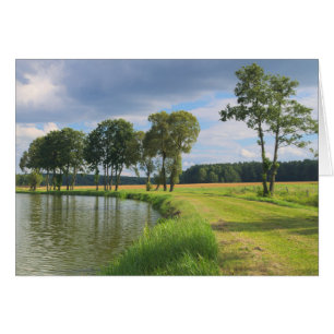 Cartão Paisagem com árvores