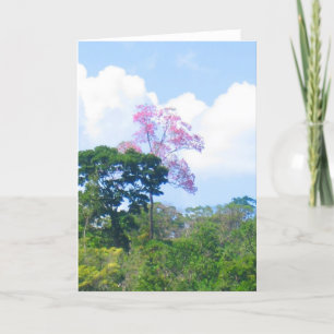 Cartão Paisagem da selva Venezuela, árvore rosa-rosa