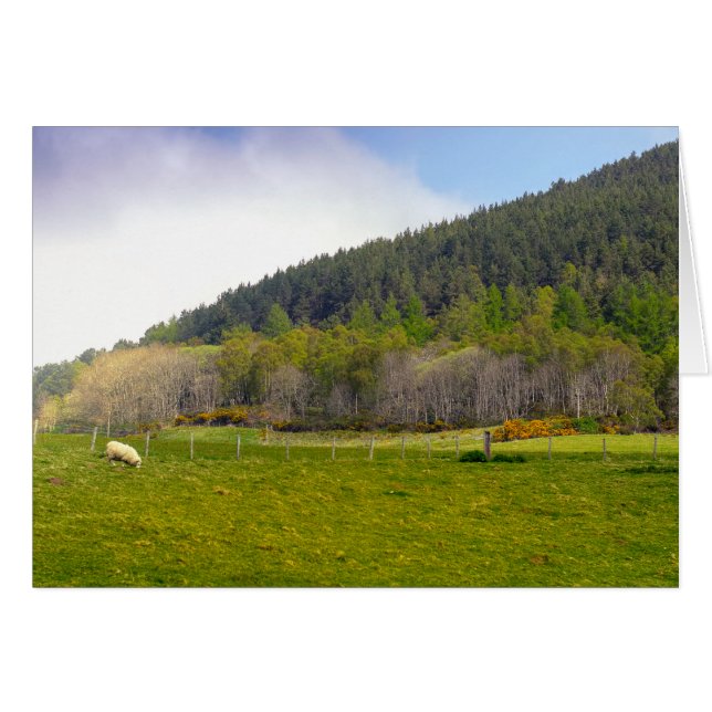 Cartão Paisagem das Terras Altas da Escócia (Frente Horizontal)
